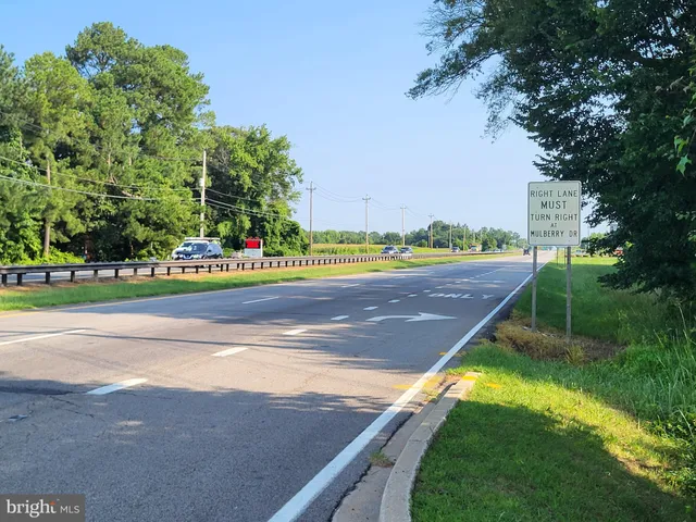 a view of a green field