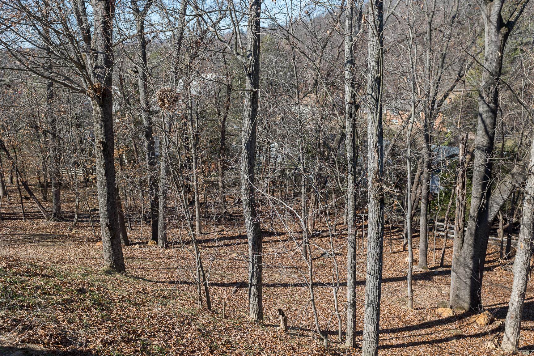 226 Forest Ridge Road Staunton, VA 24401 - Photo 20 of 75 Gallery Image 20
