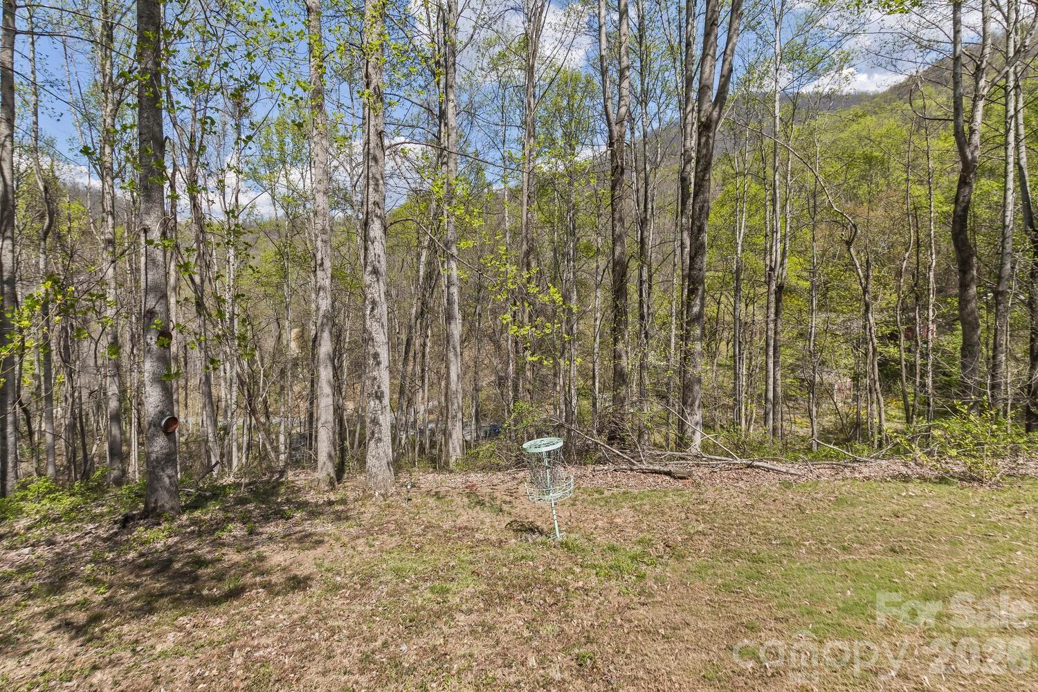 53 Benfield Road Weaverville, NC 28787 - Photo 40 of 46 Gallery Image 40
