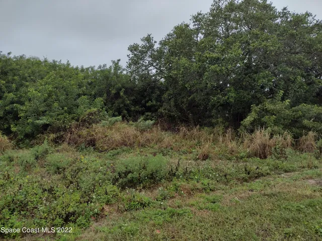 a view of a large yard with lots of green space