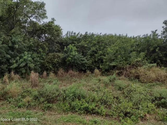an aerial view of a house with a lush green forest