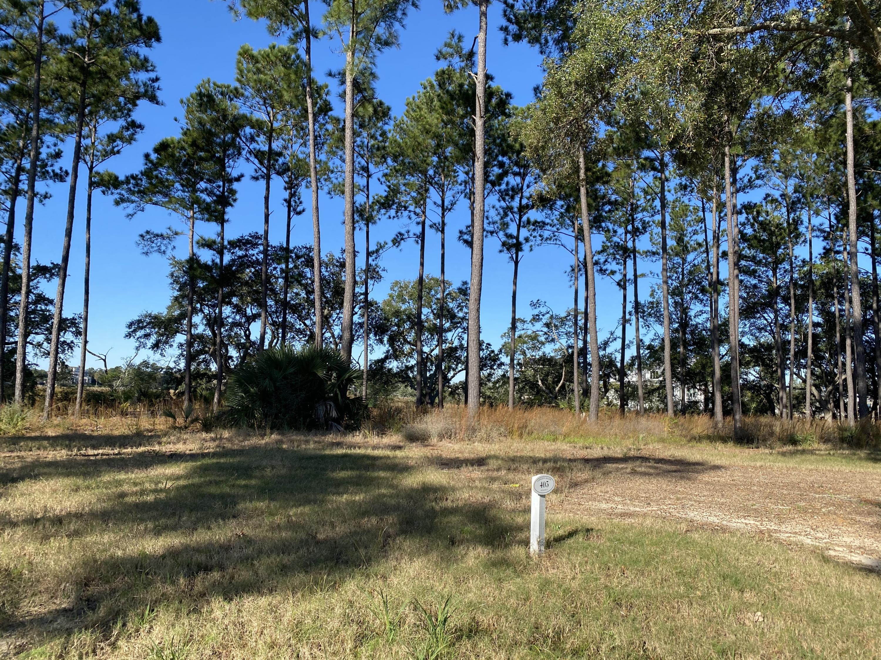 405 Wayfaring Point Daniel Island, SC 29492 - Photo 1 of 1 IMG_5101