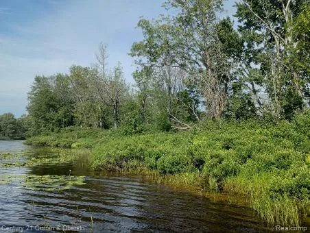 $50,000 | 0 Tahquamenon River, Newberry, MI 49868