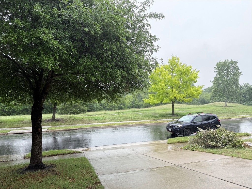 1704 Tranquility Lane Pflugerville, TX 78660 - Photo 19 of 19 a view of a park with large trees