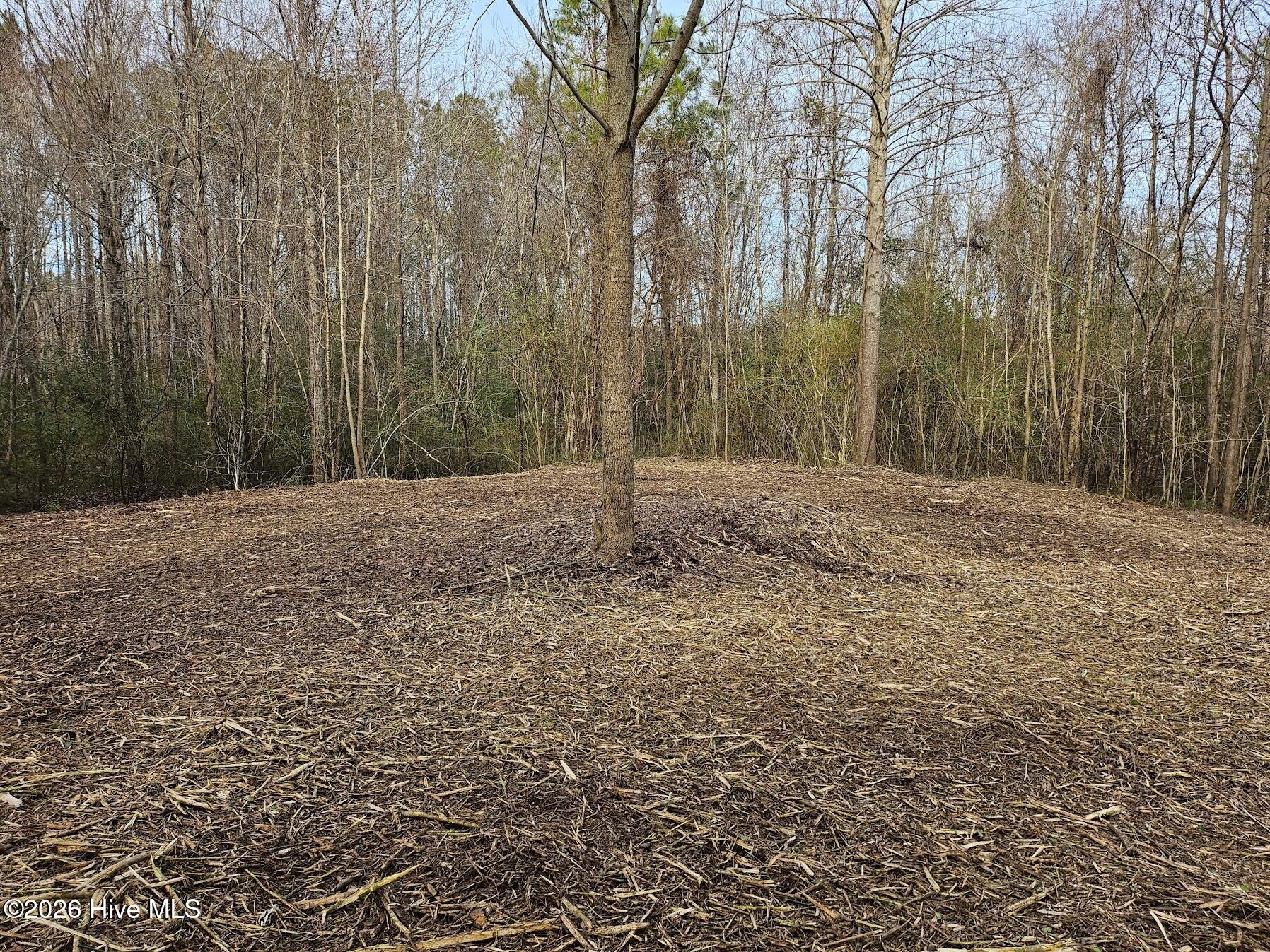 227 Langley Road Chocowinity, NC 27817 - Photo 4 of 16