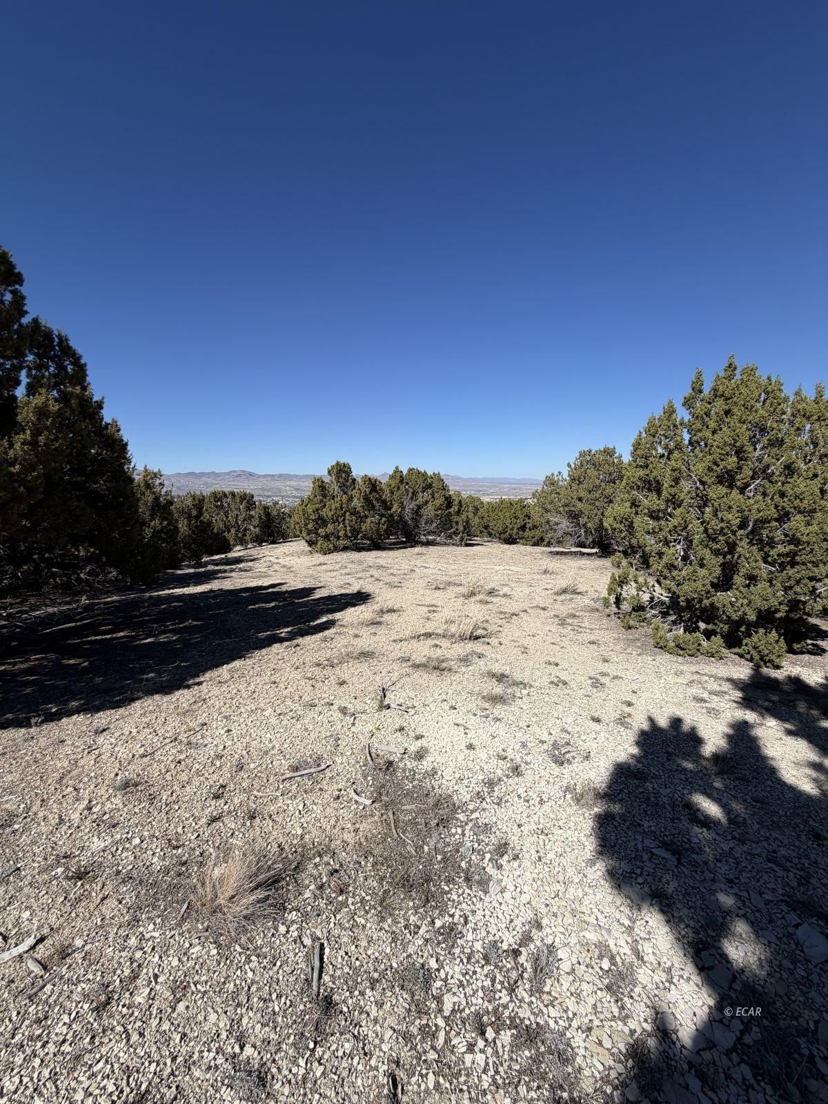 Andy's Way Elko, NV 89801 - Photo 6 of 16