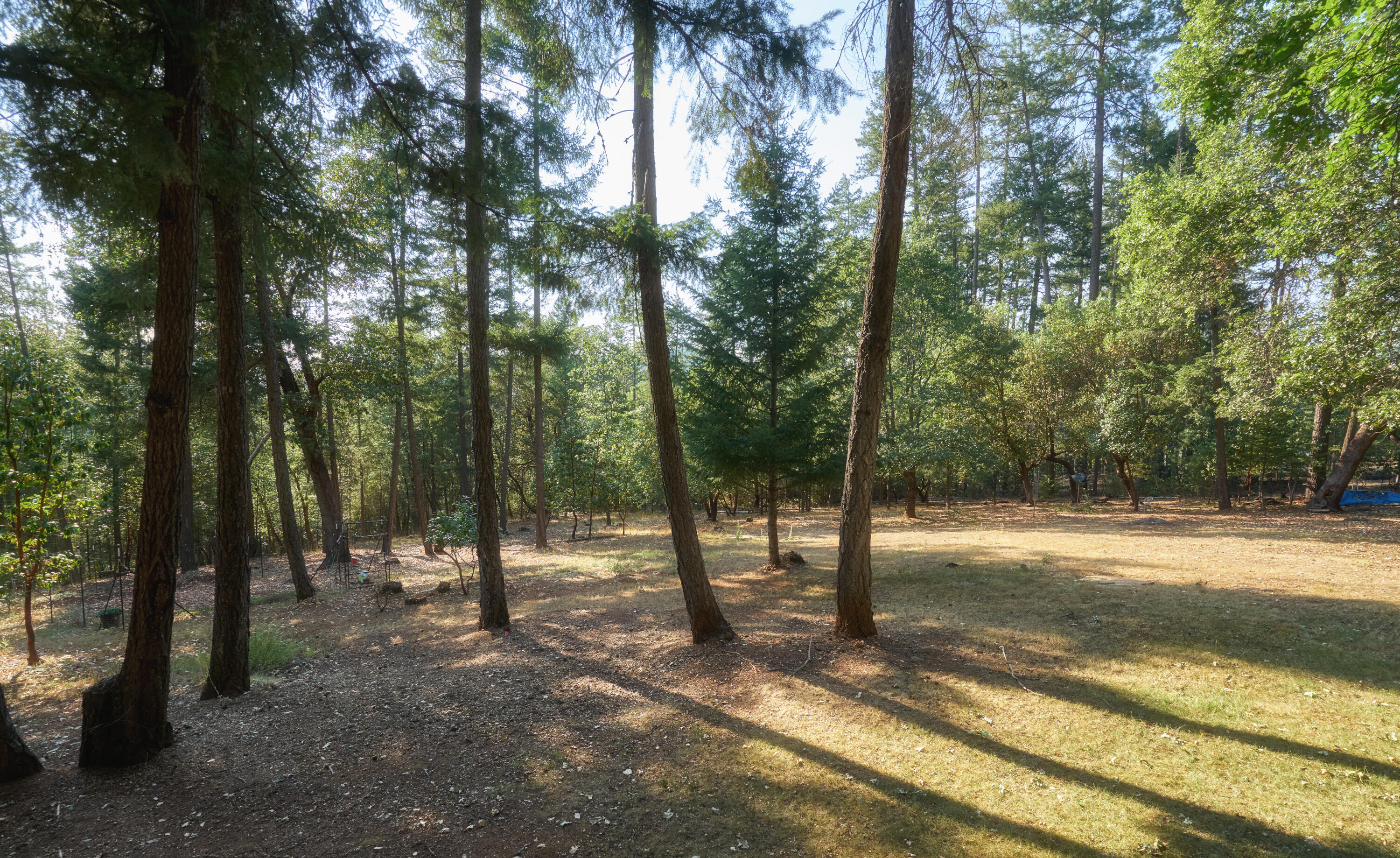 2459 Hugo Road Merlin, OR 97532 - Photo 29 of 37 a view of outdoor space with trees