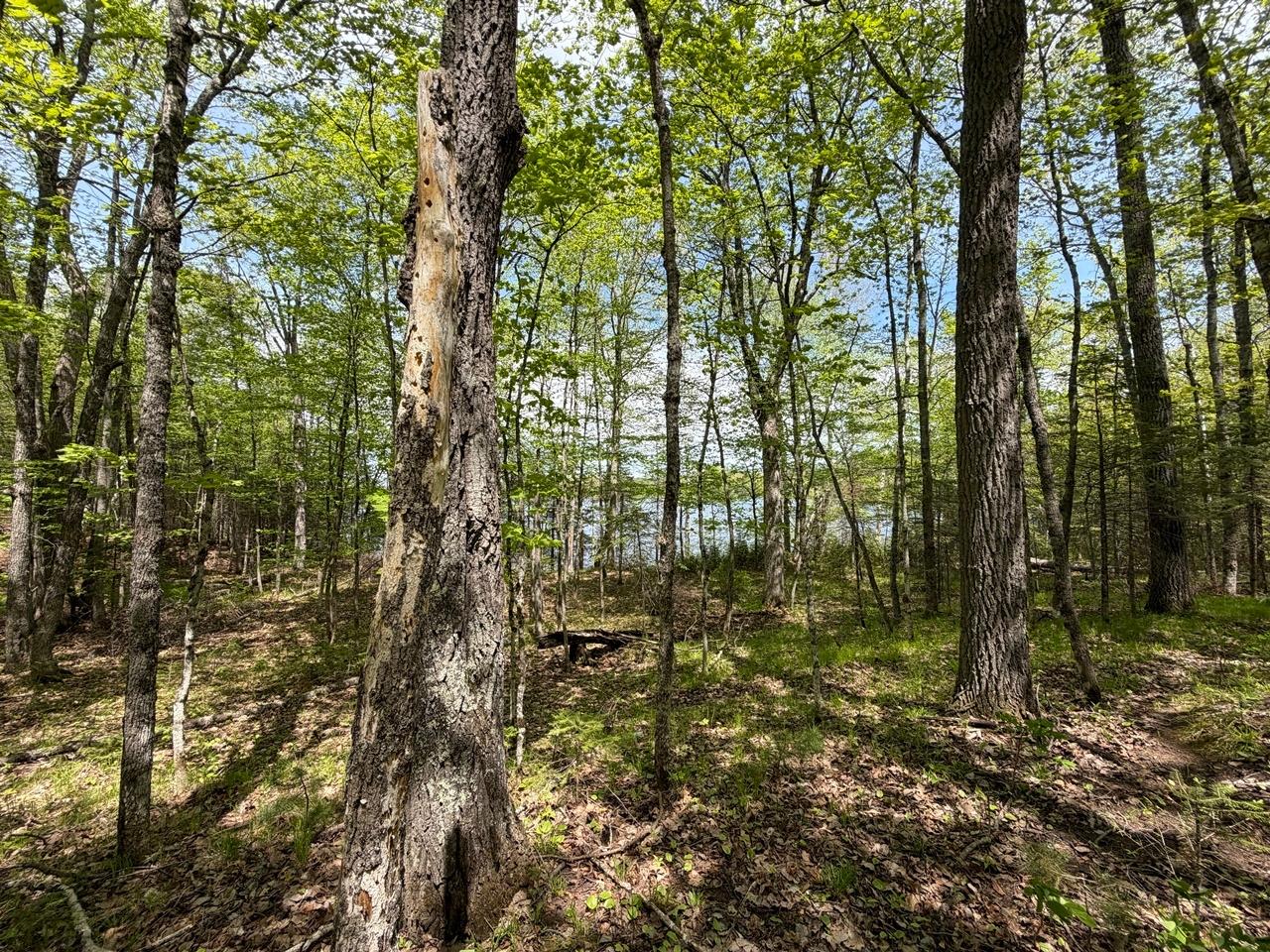 Lot 6 Cth H Mercer, WI 54547 - Photo 17 of 17 Gallery Image 17