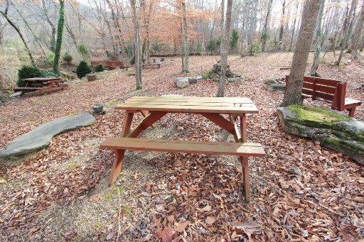 1161 Stokely Loop Road Del Rio, TN 37727 - Photo 22 of 40 Additional Photo