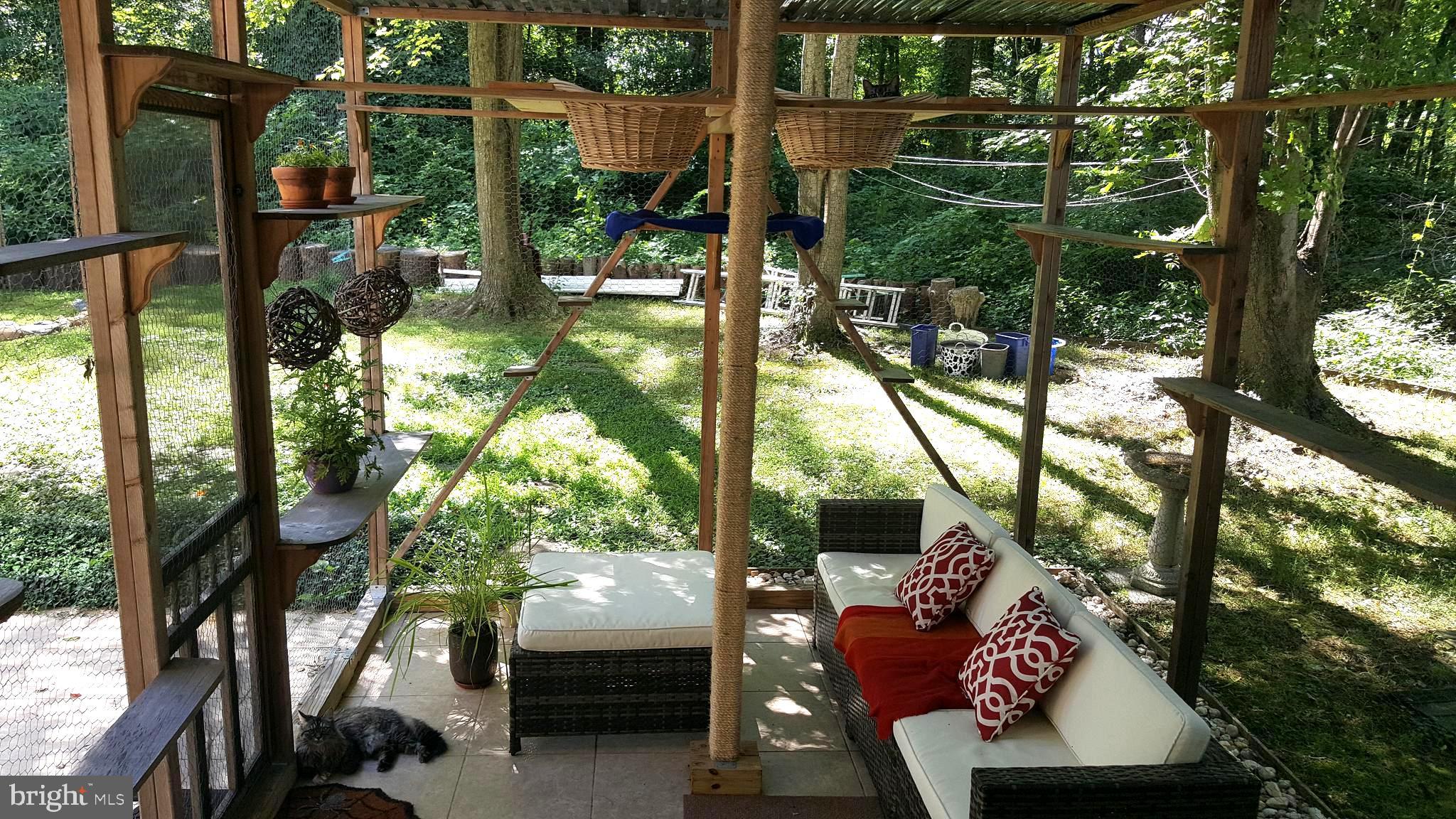2332 Rosedown Drive Reston, VA 20191 - Photo 14 of 31 Screened Catio (cattery)