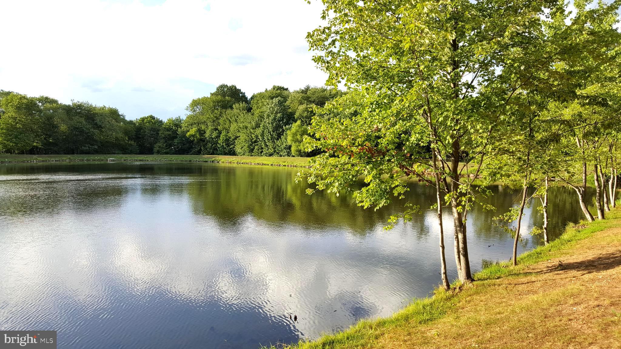 2332 Rosedown Drive Reston, VA 20191 - Photo 28 of 31 Beautiful lake nearby