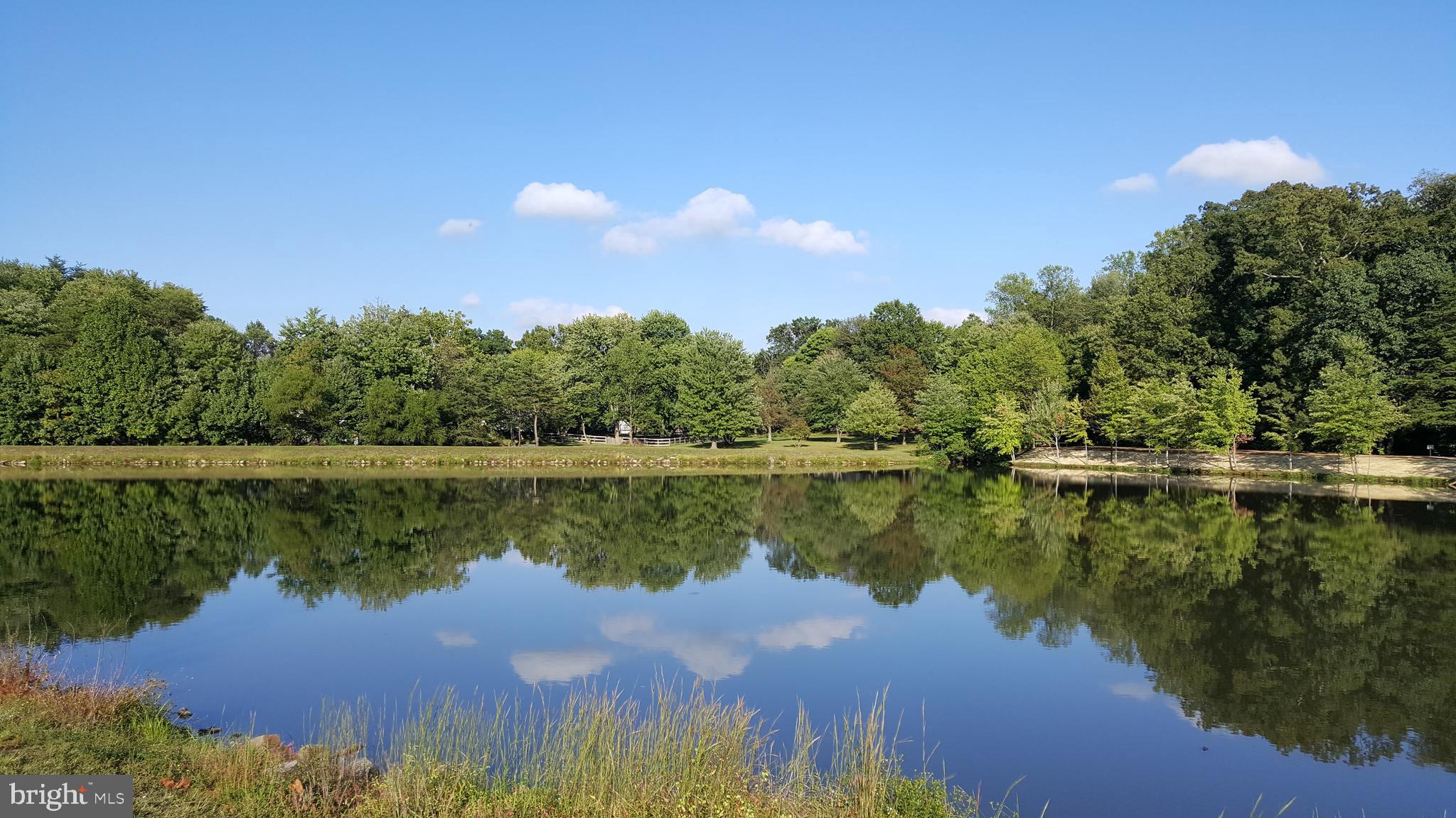2332 Rosedown Drive Reston, VA 20191 - Photo 29 of 31 Neighborhood lake