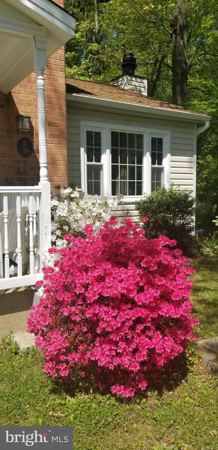 2332 Rosedown Drive Reston, VA 20191 - Photo 3 of 31 Covered Porch