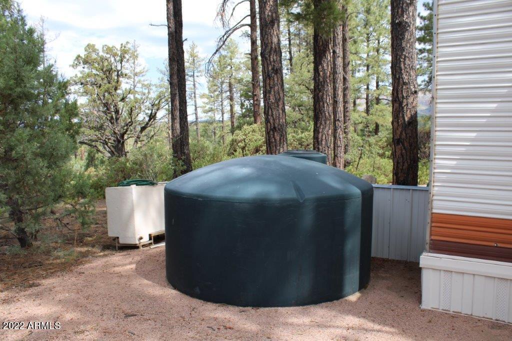 597 Pyle Ranch Road Payson, AZ 85541 - Photo 12 of 31 IMG_1310