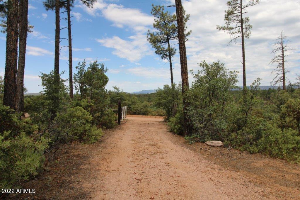 597 Pyle Ranch Road Payson, AZ 85541 - Photo 17 of 31 IMG_1298