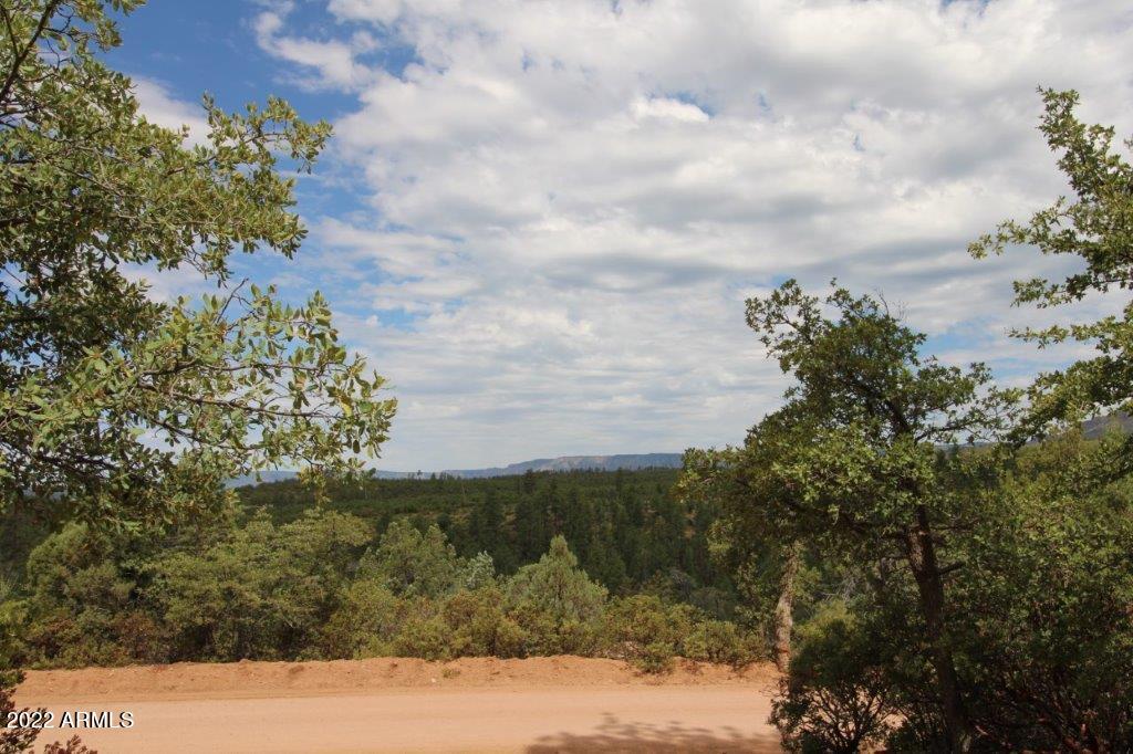 597 Pyle Ranch Road Payson, AZ 85541 - Photo 18 of 31 IMG_1299