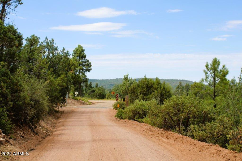 597 Pyle Ranch Road Payson, AZ 85541 - Photo 20 of 31 IMG_1305