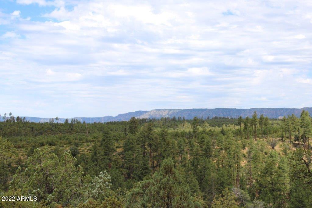 597 Pyle Ranch Road Payson, AZ 85541 - Photo 23 of 31 IMG_1301