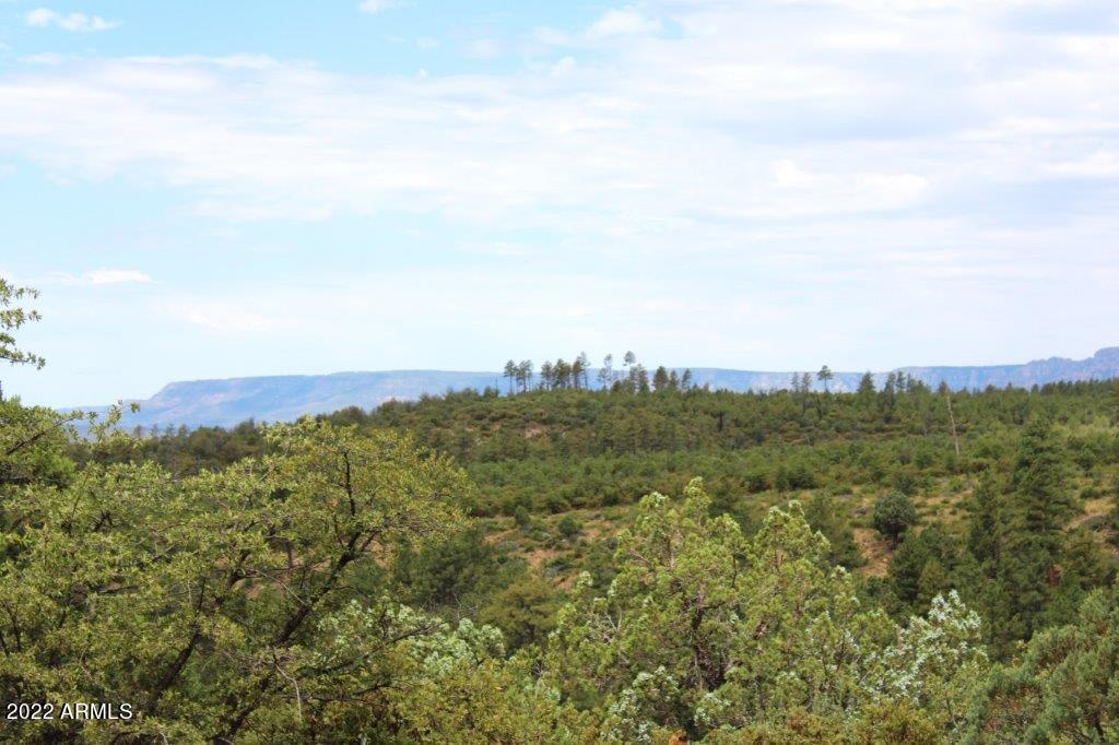 597 Pyle Ranch Road Payson, AZ 85541 - Photo 24 of 31 IMG_1302