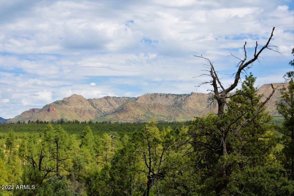 597 Pyle Ranch Road Payson, AZ 85541 - Photo 25 of 31 IMG_1304