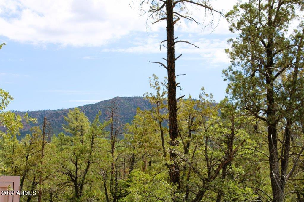 597 Pyle Ranch Road Payson, AZ 85541 - Photo 26 of 31 IMG_1308
