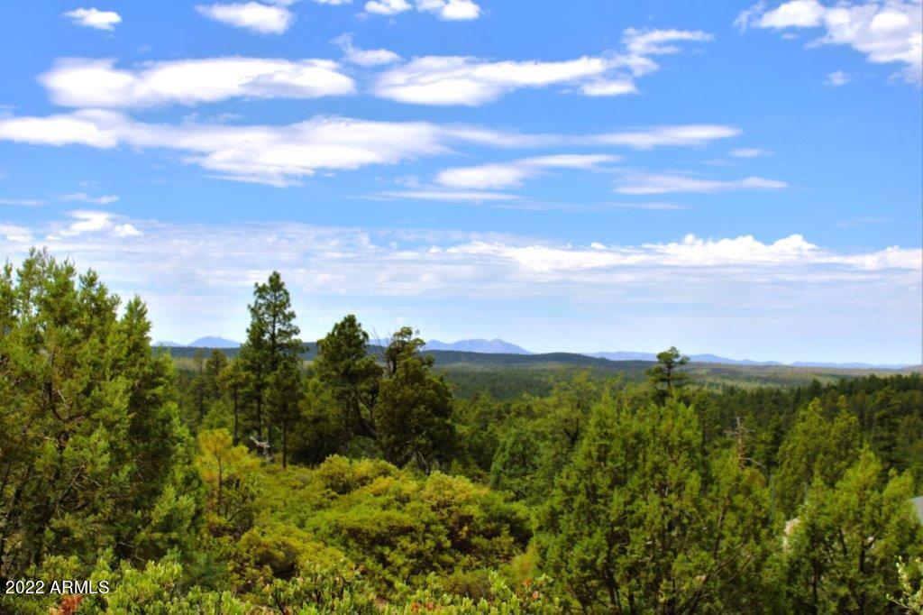 597 Pyle Ranch Road Payson, AZ 85541 - Photo 27 of 31 IMG_1326
