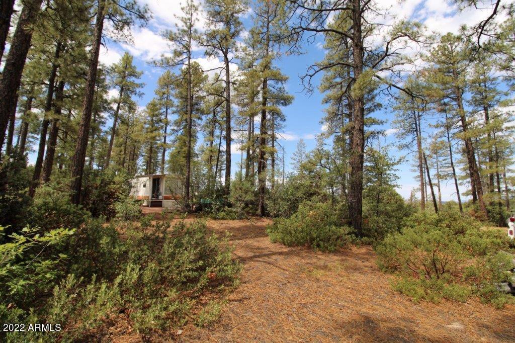 597 Pyle Ranch Road Payson, AZ 85541 - Photo 28 of 31 IMG_1322
