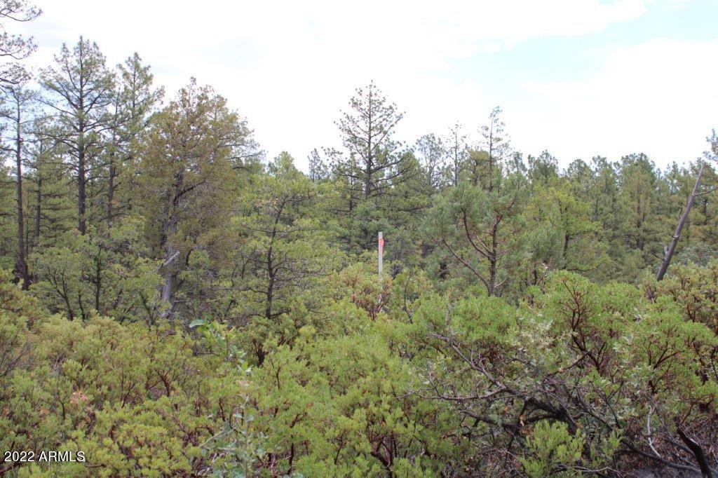 597 Pyle Ranch Road Payson, AZ 85541 - Photo 29 of 31 IMG_1323