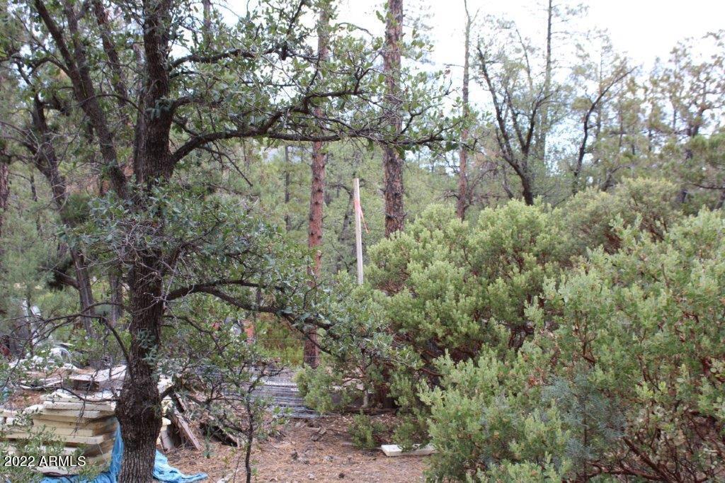 597 Pyle Ranch Road Payson, AZ 85541 - Photo 30 of 31 IMG_1324
