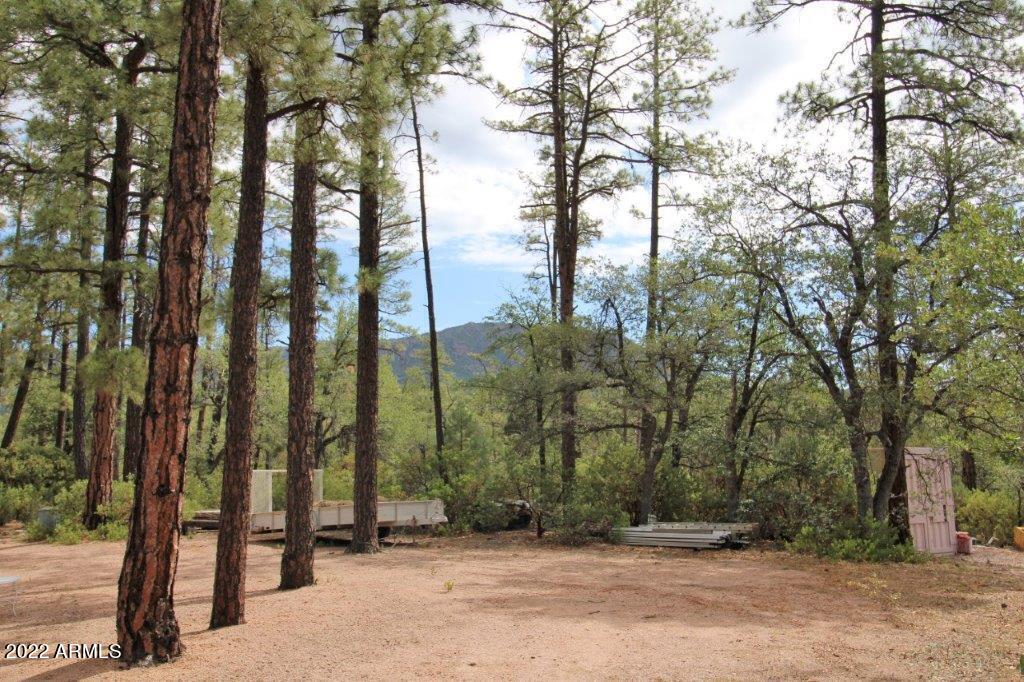 597 Pyle Ranch Road Payson, AZ 85541 - Photo 3 of 31 IMG_1300