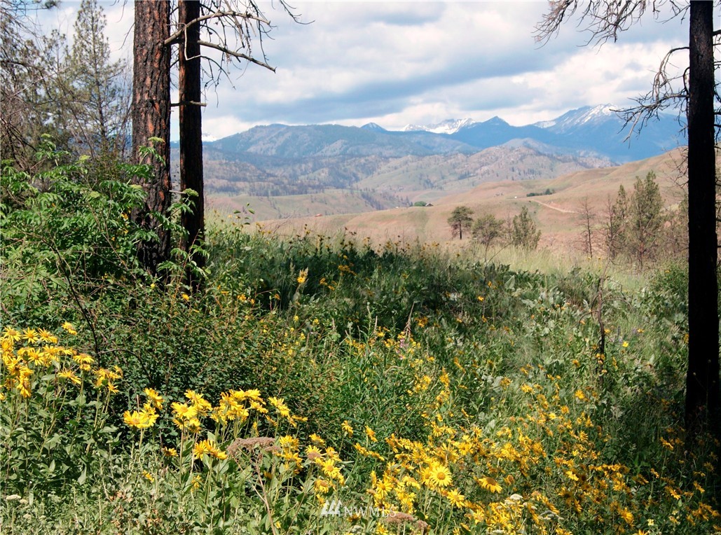 41 B French Creek Road Methow, WA 98834 - Photo 1 of 19