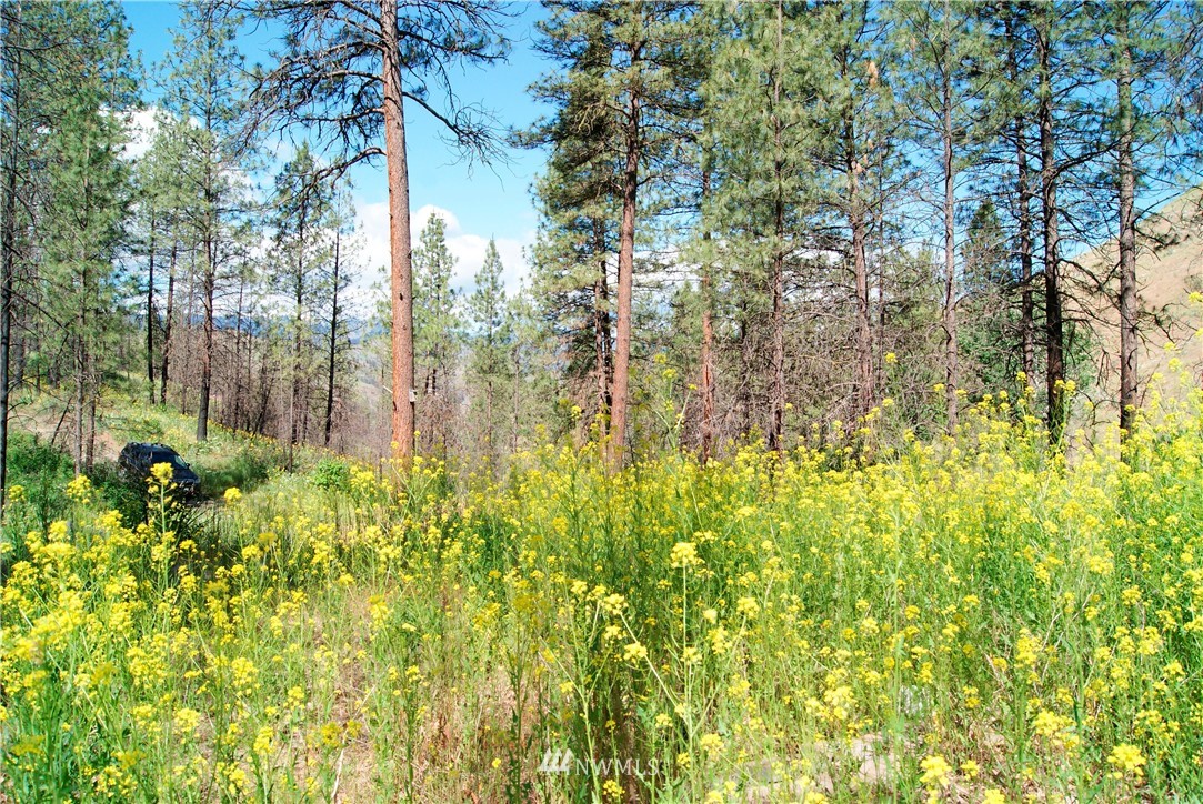 41 B French Creek Road Methow, WA 98834 - Photo 2 of 19