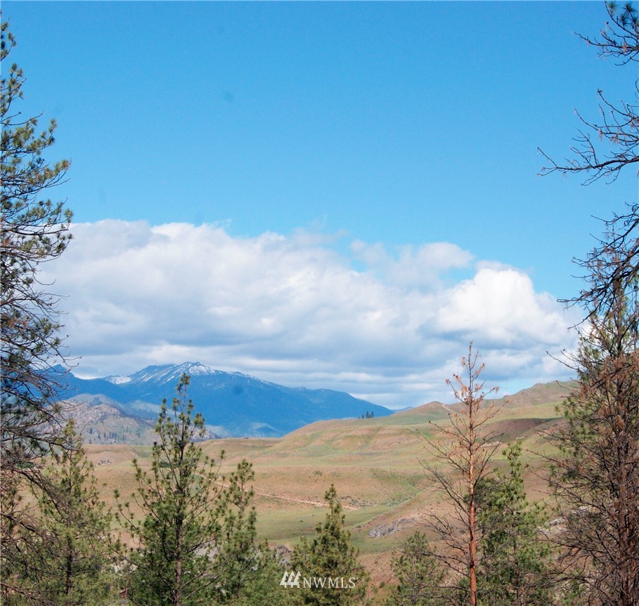 41 B French Creek Road Methow, WA 98834 - Photo 14 of 19