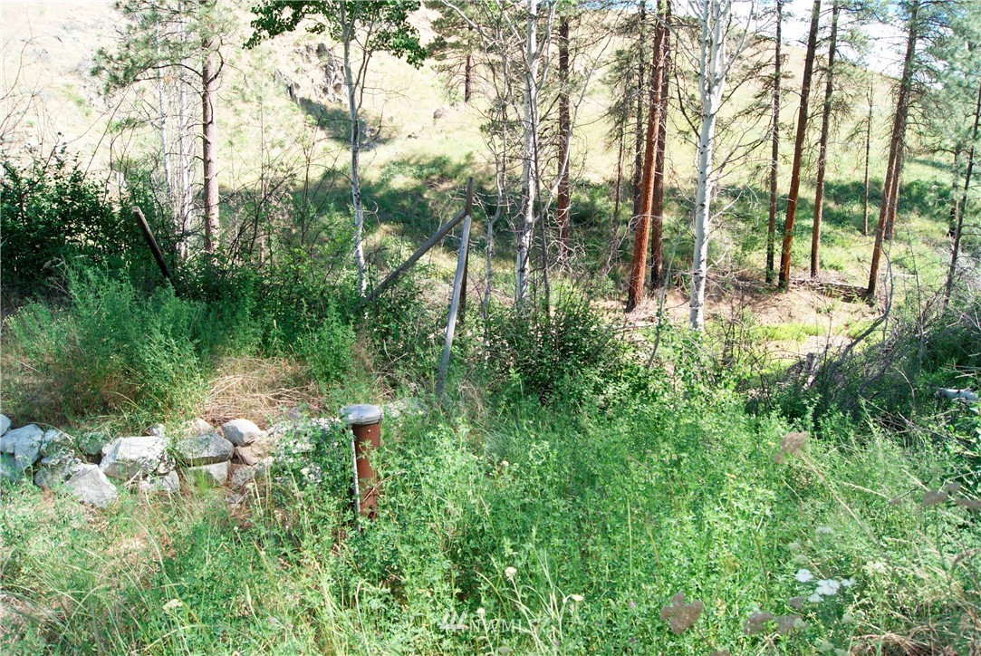 41 B French Creek Road Methow, WA 98834 - Photo 16 of 19