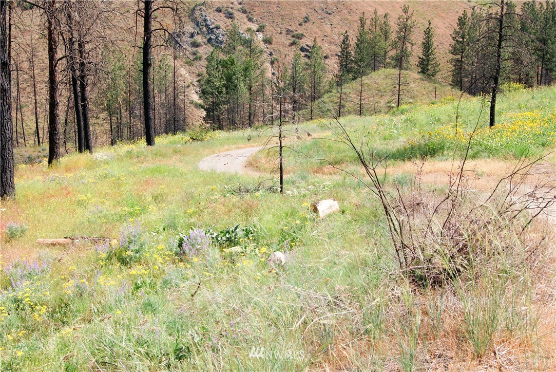 41 B French Creek Road Methow, WA 98834 - Photo 17 of 19