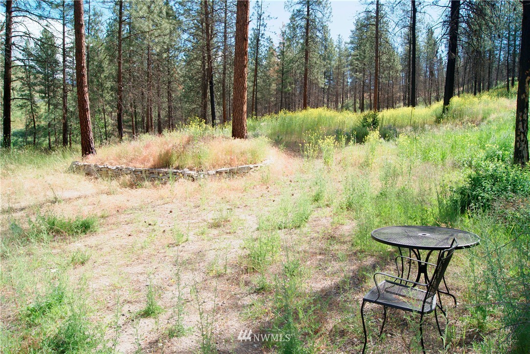 41 B French Creek Road Methow, WA 98834 - Photo 18 of 19