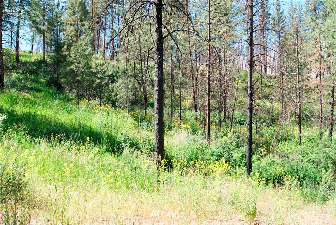 41 B French Creek Road Methow, WA 98834 - Photo 3 of 19
