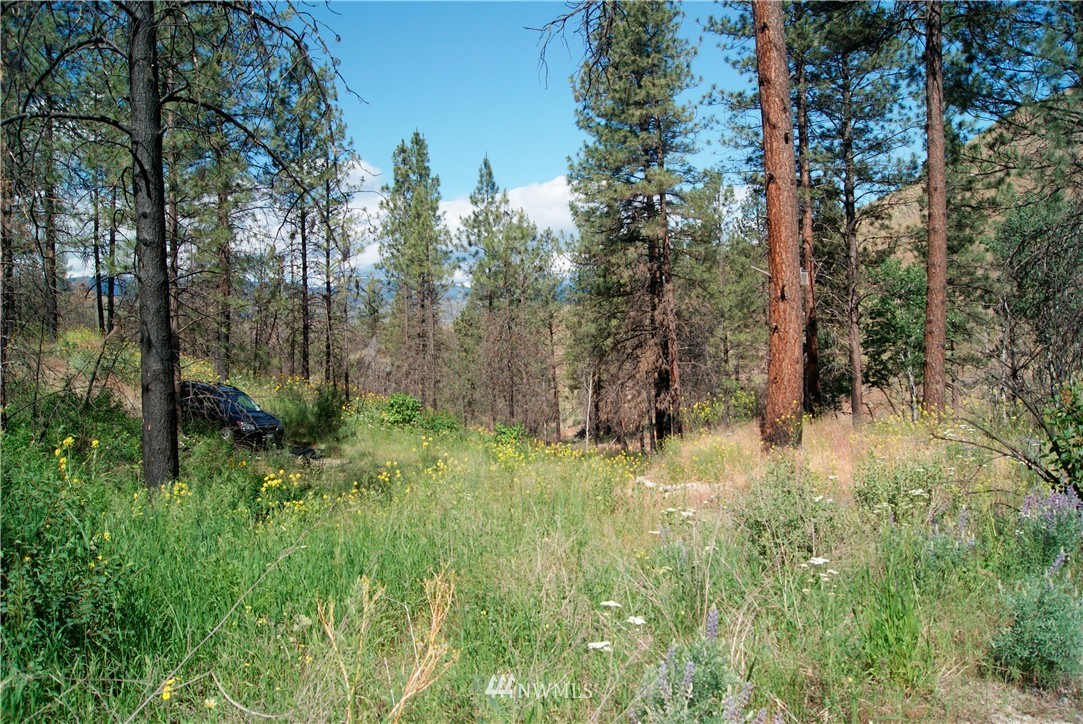 41 B French Creek Road Methow, WA 98834 - Photo 8 of 19