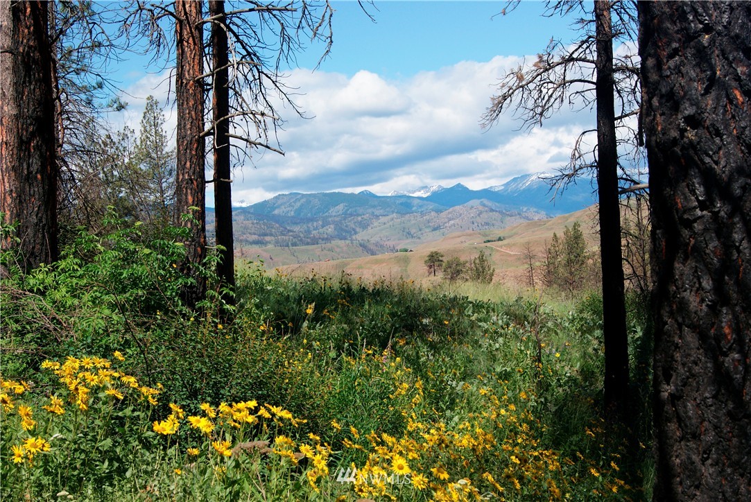 41 B French Creek Road Methow, WA 98834 - Photo 10 of 19