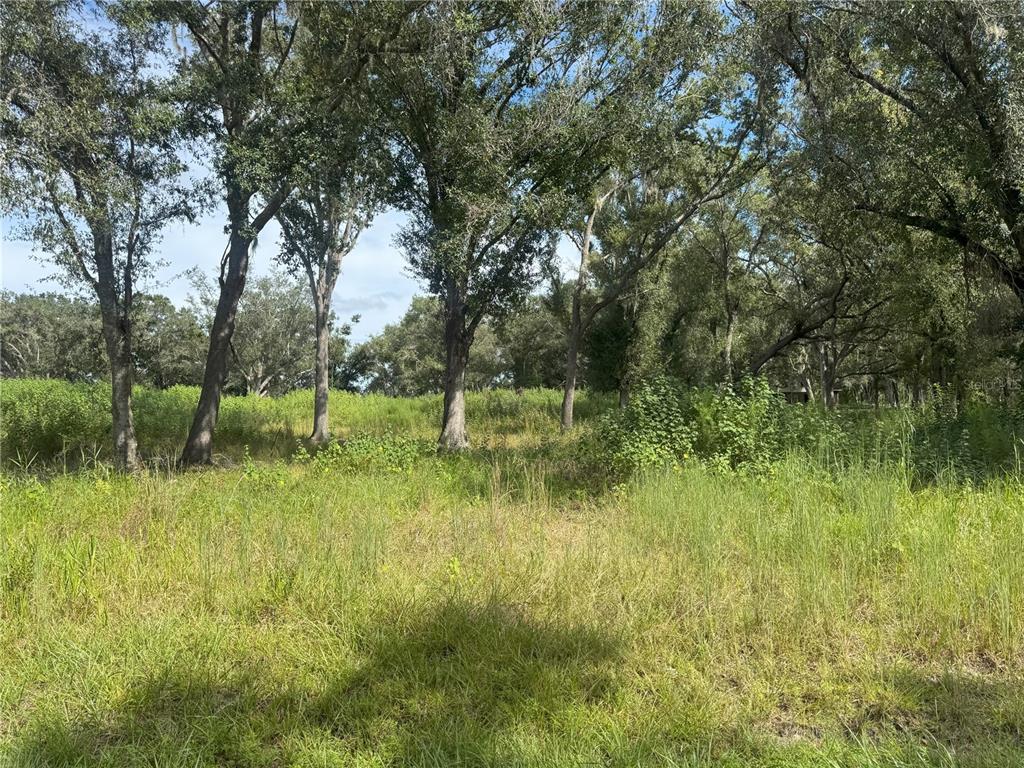 7114 Northwest Lily County Line Road Ona, FL 33865 - Photo 3 of 6 Gallery Image 3