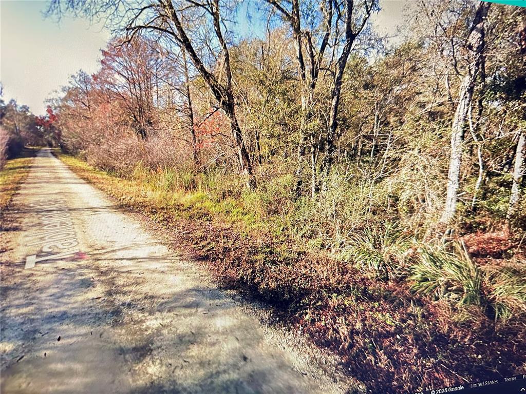 Table Rock Drive Webster, FL 33597 - Photo 3 of 10 a view of empty yard with large trees