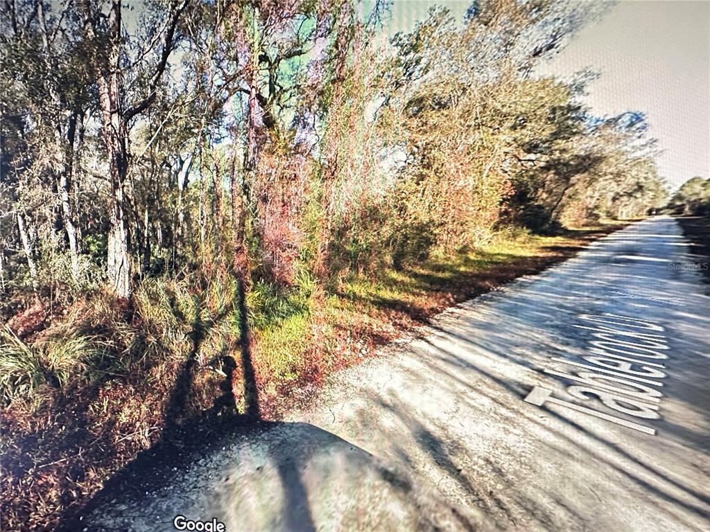 Table Rock Drive Webster, FL 33597 - Photo 4 of 10 a view of a yard with plants and trees
