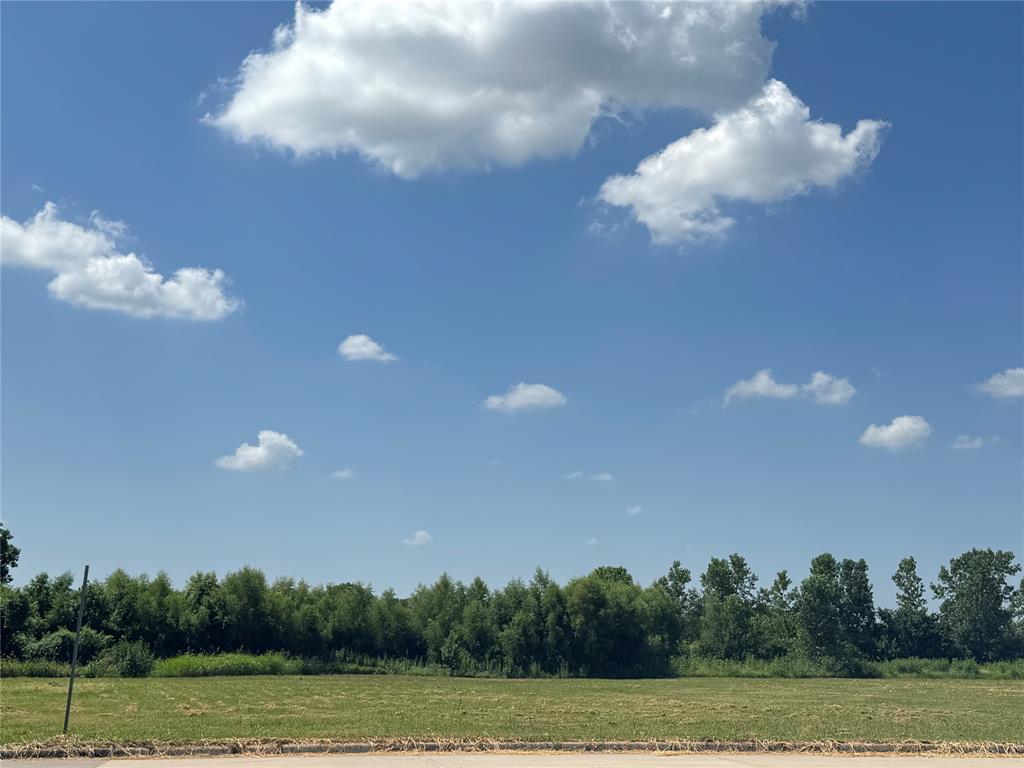 1000 East Danieldale Road DeSoto, TX 75115 - Photo 7 of 8 a view of a golf course