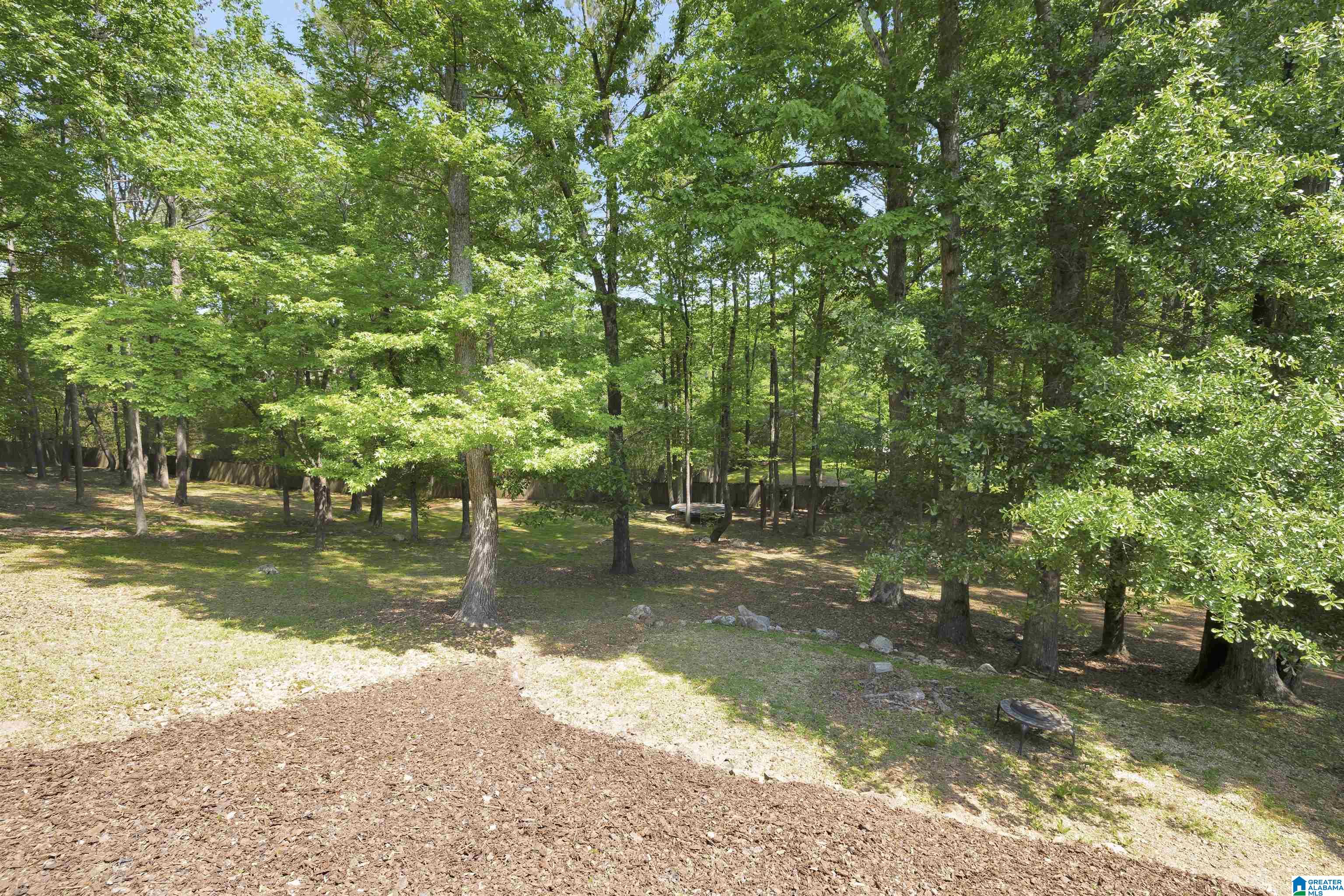 138 Mountain Brook Springville, AL 35146 - Photo 38 of 39