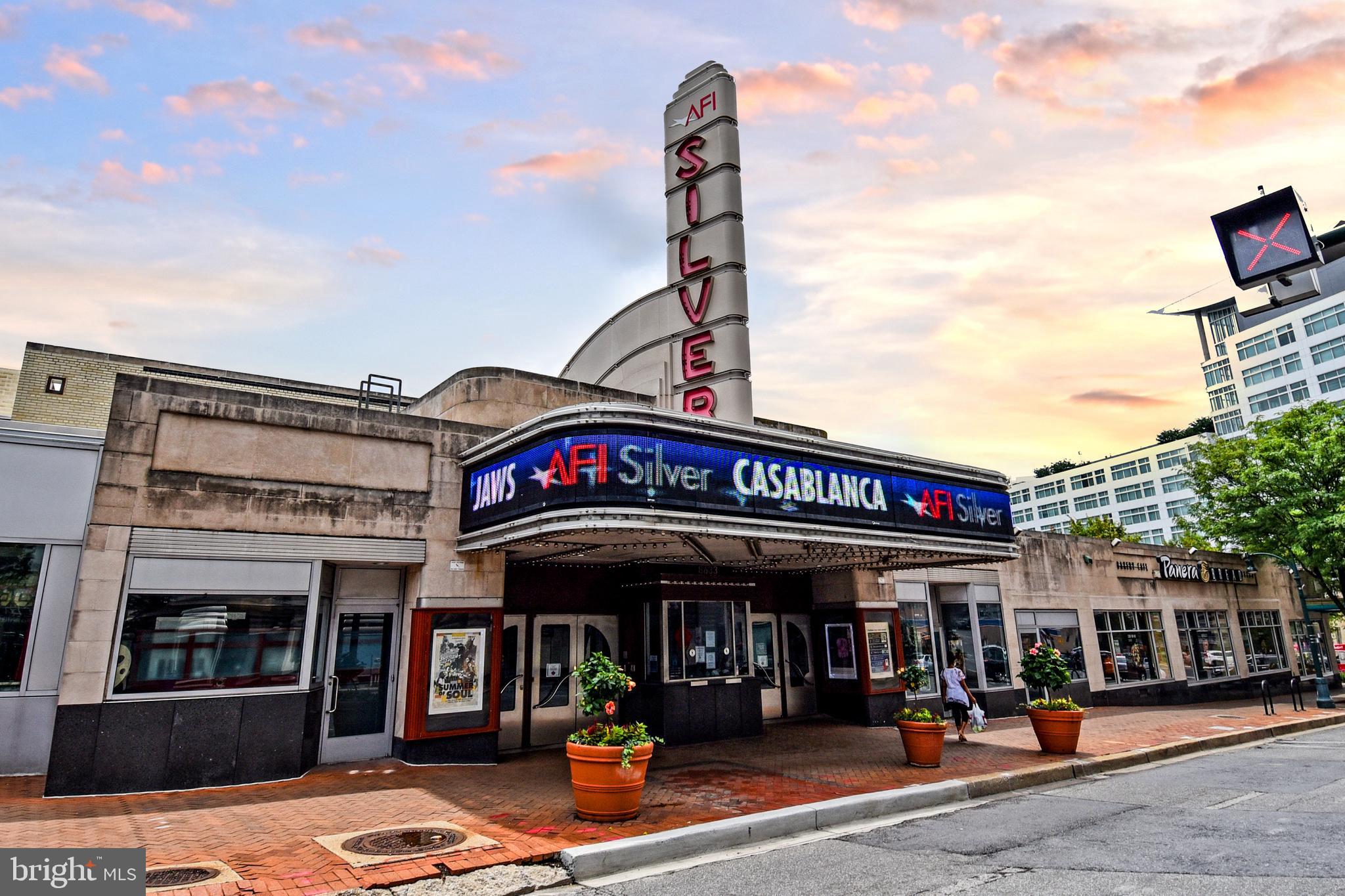 1900 Lyttonsville Road, Unit 709 Silver Spring, MD 20910 - Photo 29 of 33