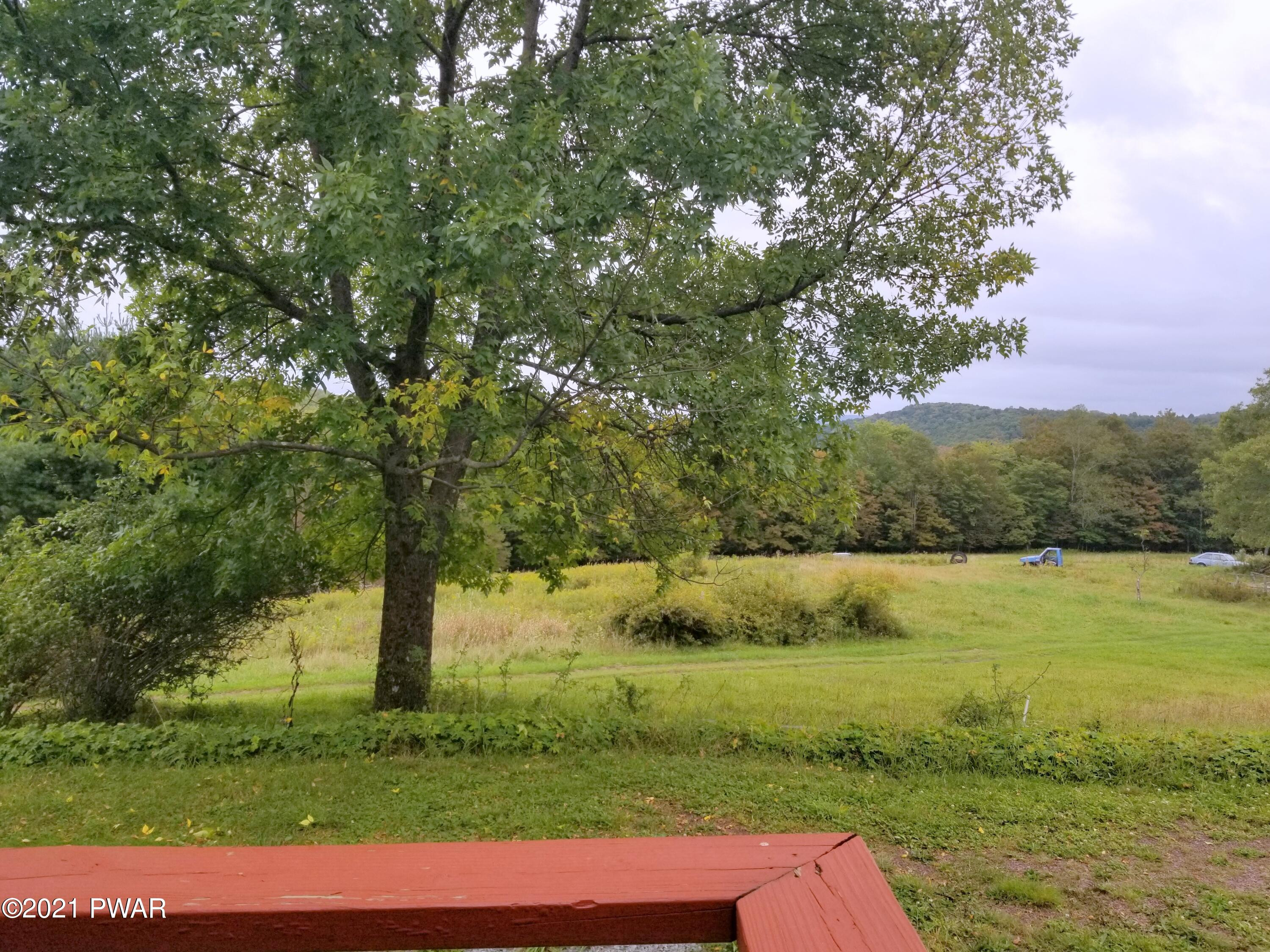 157 Layton Road Equinunk, PA 18417 - Photo 4 of 16 Views from your private Deck