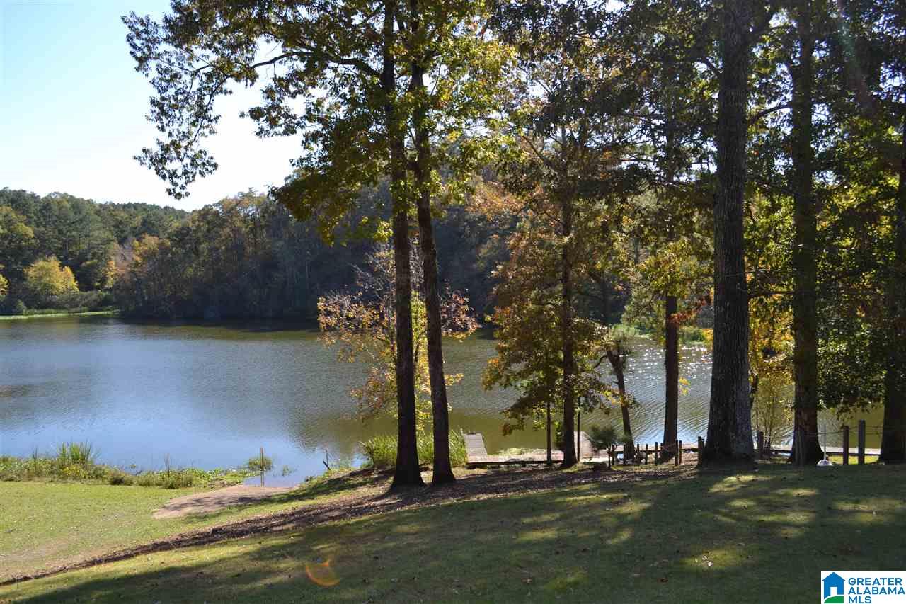 0 Dan Ridge Road Oakman, AL 35579 - Photo 32 of 36 Gallery Image 32