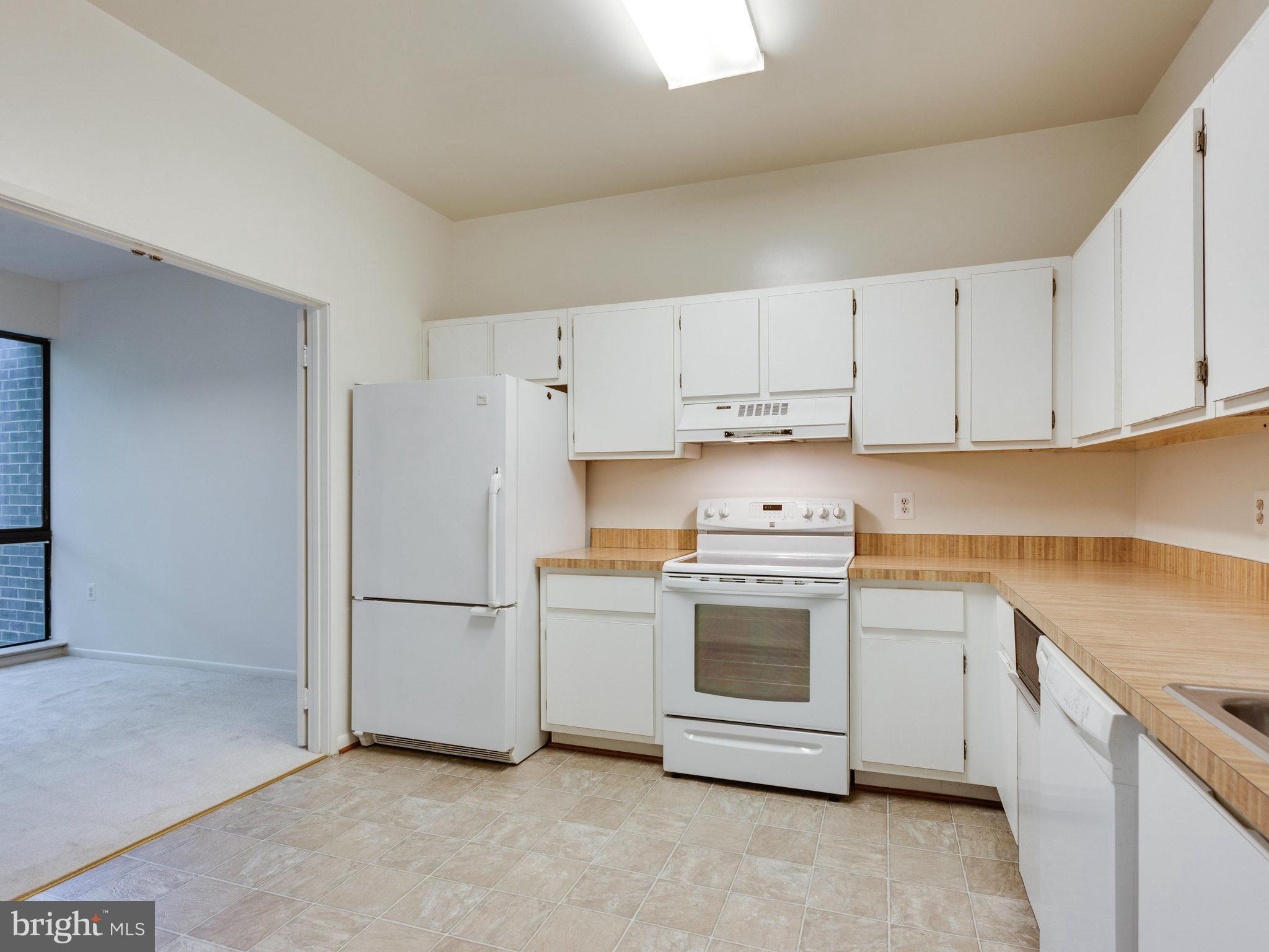 2108 Green Watch Way, Unit 301 Reston, VA 20191 - Photo 15 of 28 Kitchen