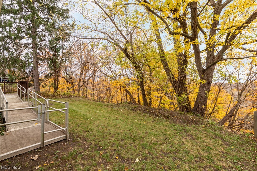 Deck and large backyard overlooking a great view of the park.