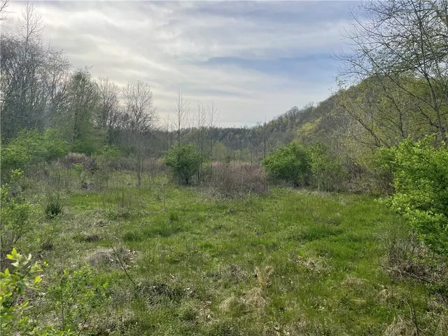 a view of a green field with lots of bushes